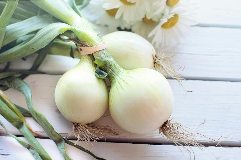 green onion planting